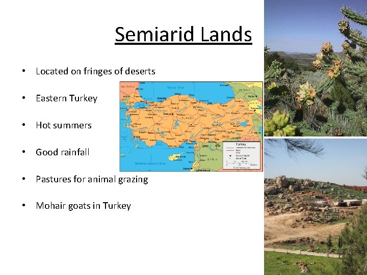 Semiarid Lands • Located on fringes of deserts • Eastern Turkey • Hot summers