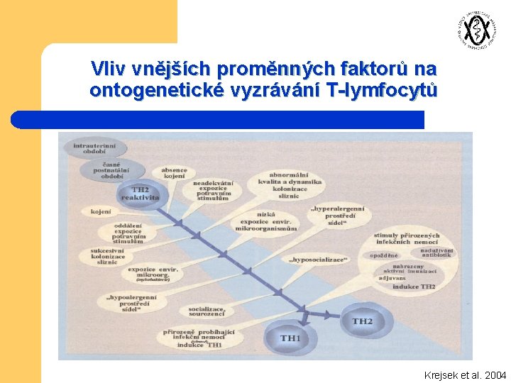 Vliv vnějších proměnných faktorů na ontogenetické vyzrávání T-lymfocytů Krejsek et al. 2004 