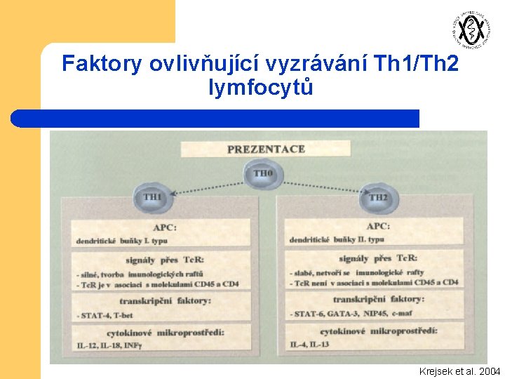 Faktory ovlivňující vyzrávání Th 1/Th 2 lymfocytů Krejsek et al. 2004 