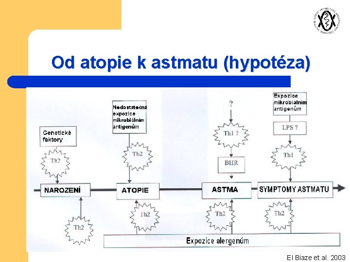 Od atopie k astmatu (hypotéza) El Biaze et al. 2003 