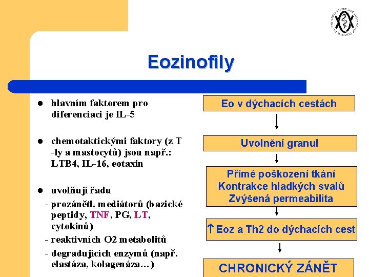 Eozinofily l hlavním faktorem pro diferenciaci je IL-5 l chemotaktickými faktory (z T -ly