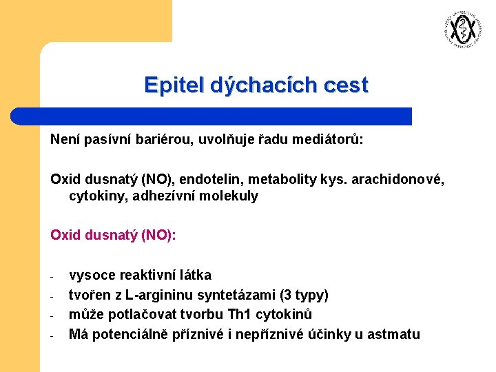 Epitel dýchacích cest Není pasívní bariérou, uvolňuje řadu mediátorů: Oxid dusnatý (NO), endotelin, metabolity