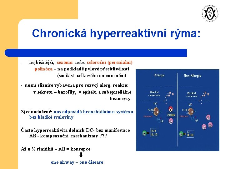 Chronická hyperreaktivní rýma: - nejběžnější, sezónní nebo celoroční (pereniální) polinóza – na podkladě pylové