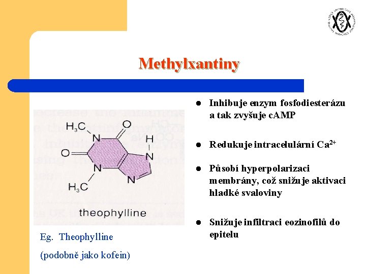 Methylxantiny Eg. Theophylline (podobně jako kofein) l Inhibuje enzym fosfodiesterázu a tak zvyšuje c.