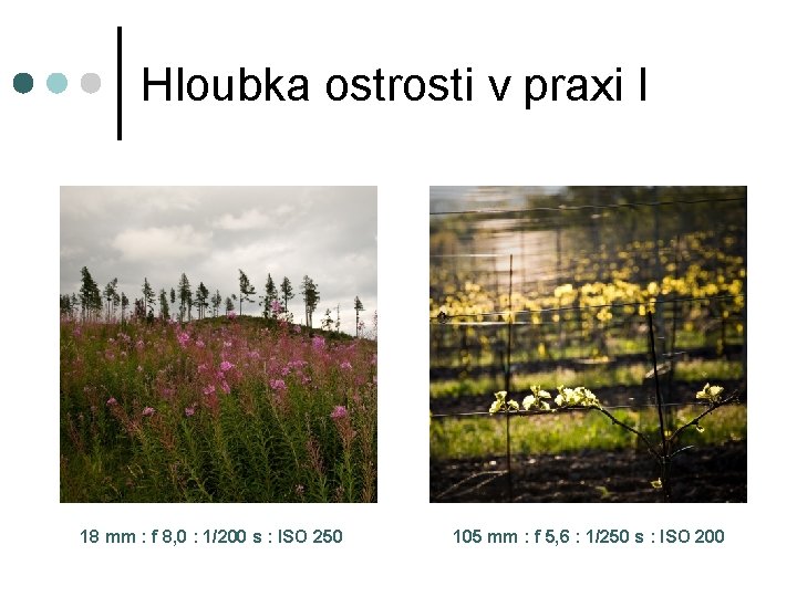 Hloubka ostrosti v praxi I 18 mm : f 8, 0 : 1/200 s Hloubka ostrosti v praxi I 18 mm : f 8, 0 : 1/200 s