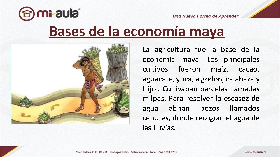 Bases de la economía maya La agricultura fue la base de la economía maya.