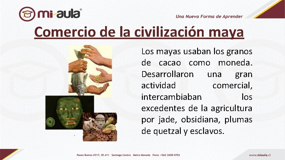 Comercio de la civilización maya Los mayas usaban los granos de cacao como moneda.