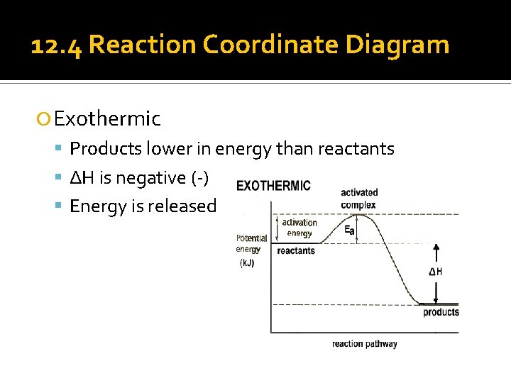 12. 4 Reaction Coordinate Diagram Exothermic Products lower in energy than reactants ΔH is