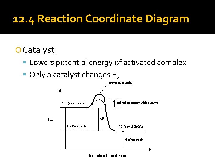 12. 4 Reaction Coordinate Diagram Catalyst: Lowers potential energy of activated complex Only a