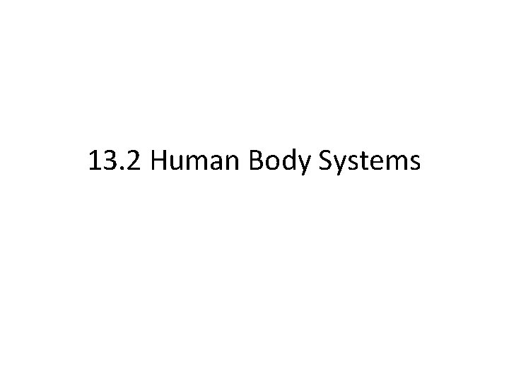 13. 2 Human Body Systems 