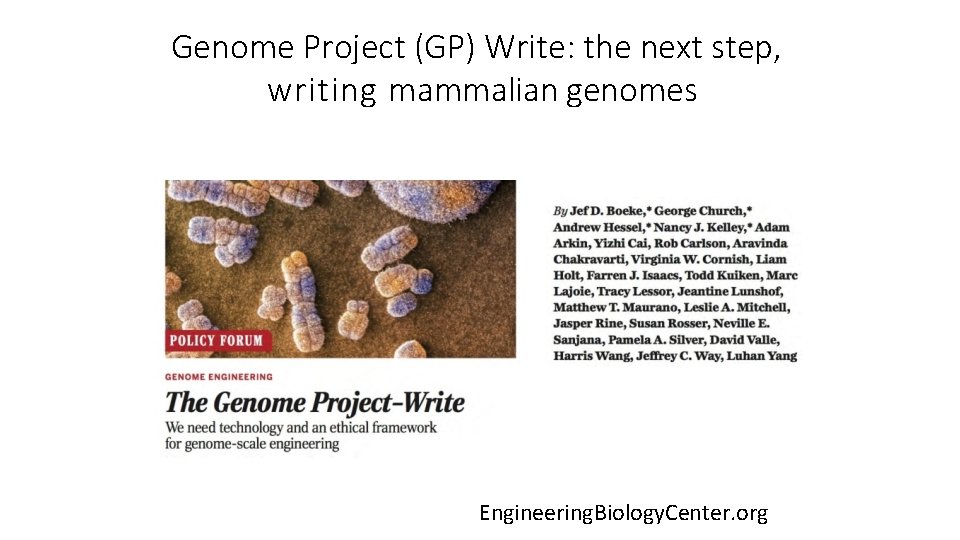 Genome Project (GP) Write: the next step, writing mammalian genomes Engineering. Biology. Center. org