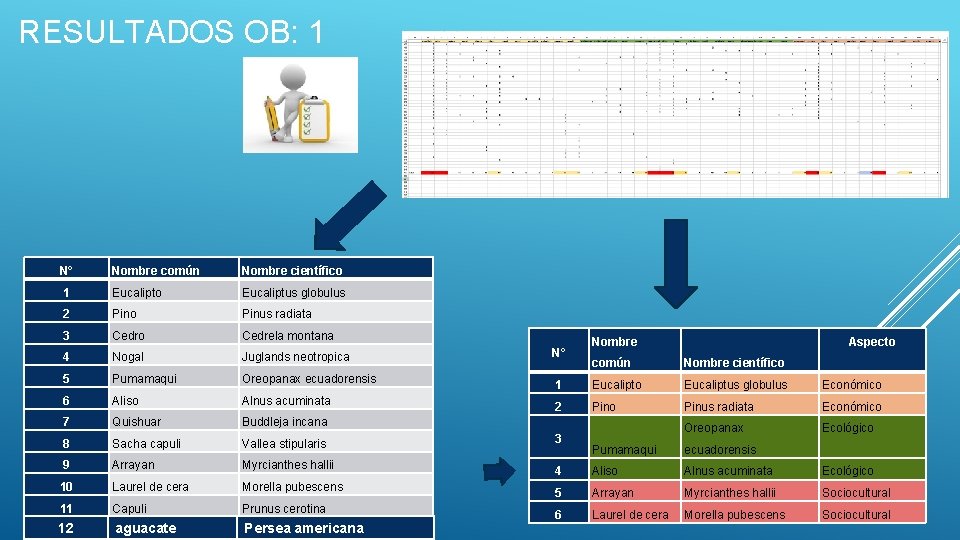 RESULTADOS OB: 1 N° Nombre común Nombre científico 1 Eucalipto Eucaliptus globulus 2 Pino