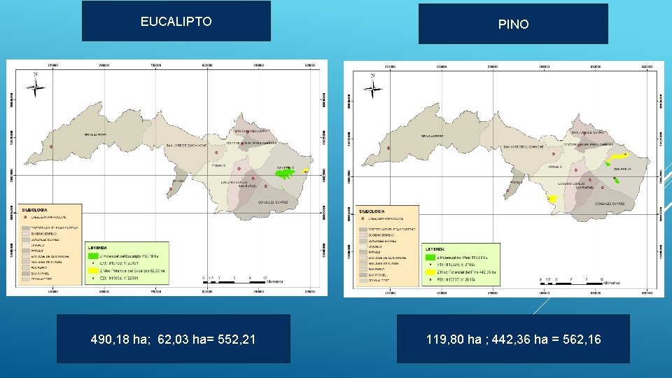 EUCALIPTO PINO 490, 18 ha; 62, 03 ha= 552, 21 119, 80 ha ;