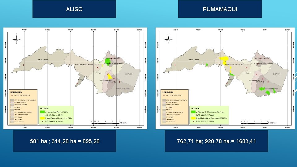 ALISO 581 ha ; 314, 28 ha = 895, 28 PUMAMAQUI 762, 71 ha;