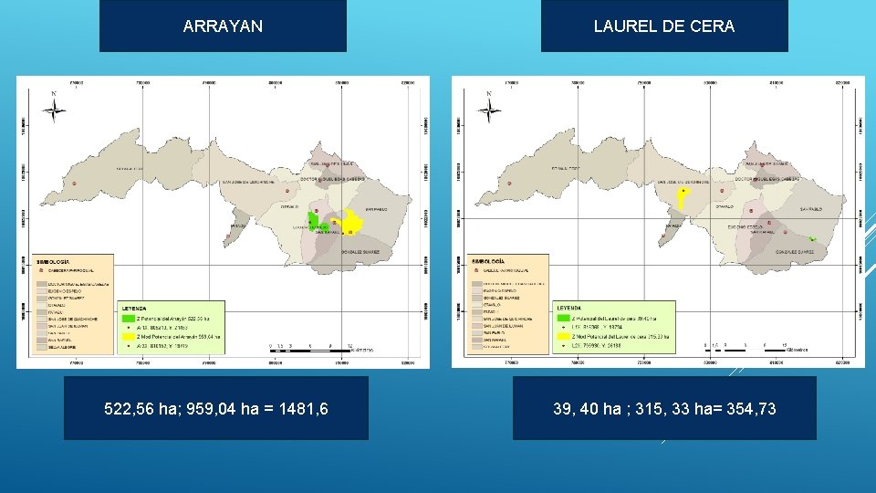 ARRAYAN 522, 56 ha; 959, 04 ha = 1481, 6 LAUREL DE CERA 39,