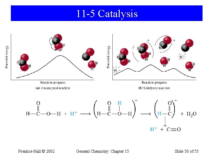 11 -5 Catalysis Prentice-Hall © 2002 General Chemistry: Chapter 15 Slide 50 of 55
