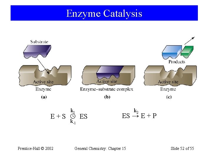 Enzyme Catalysis k 1 E + S ES k-1 Prentice-Hall © 2002 k 2