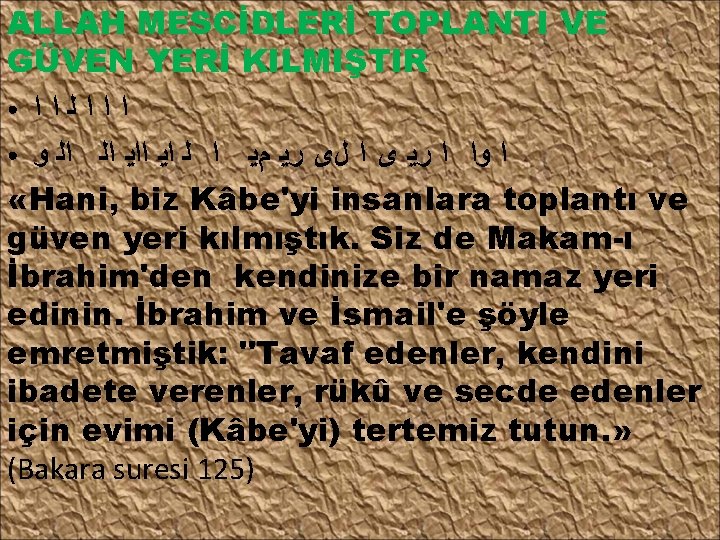 ALLAH MESCİDLERİ TOPLANTI VE GÜVEN YERİ KILMIŞTIR ● ﺍ ﺍ ﺍ ﻟ ﺍ ﺍ