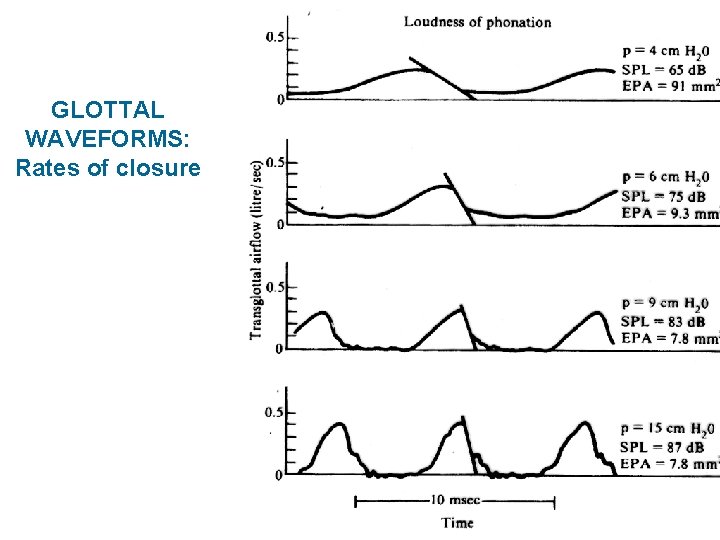 GLOTTAL WAVEFORMS: Rates of closure 