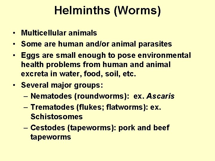Helminths (Worms) • Multicellular animals • Some are human and/or animal parasites • Eggs