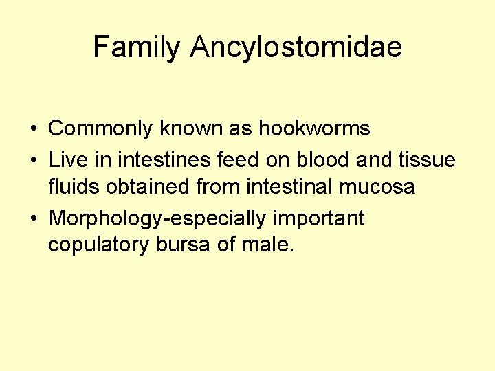 Family Ancylostomidae • Commonly known as hookworms • Live in intestines feed on blood