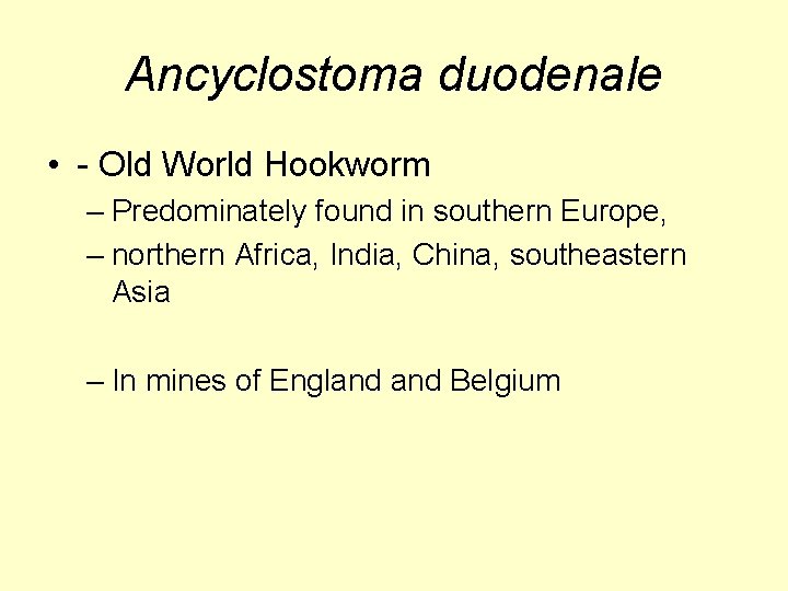 Ancyclostoma duodenale • - Old World Hookworm – Predominately found in southern Europe, –