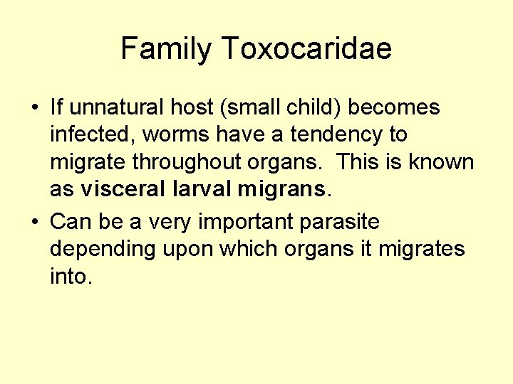 Family Toxocaridae • If unnatural host (small child) becomes infected, worms have a tendency