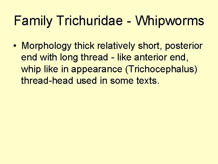 Family Trichuridae - Whipworms • Morphology thick relatively short, posterior end with long thread