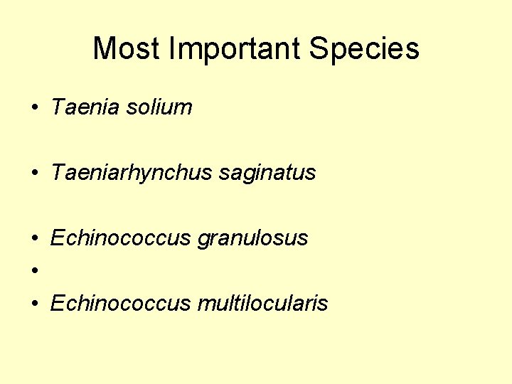 Most Important Species • Taenia solium • Taeniarhynchus saginatus • Echinococcus granulosus • •
