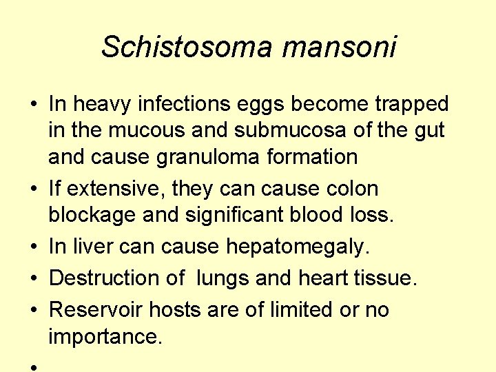 Schistosoma mansoni • In heavy infections eggs become trapped in the mucous and submucosa