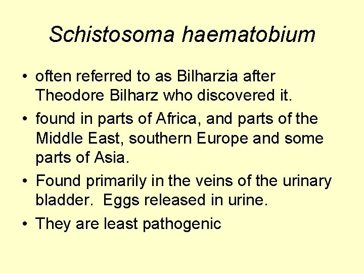 Schistosoma haematobium • often referred to as Bilharzia after Theodore Bilharz who discovered it.