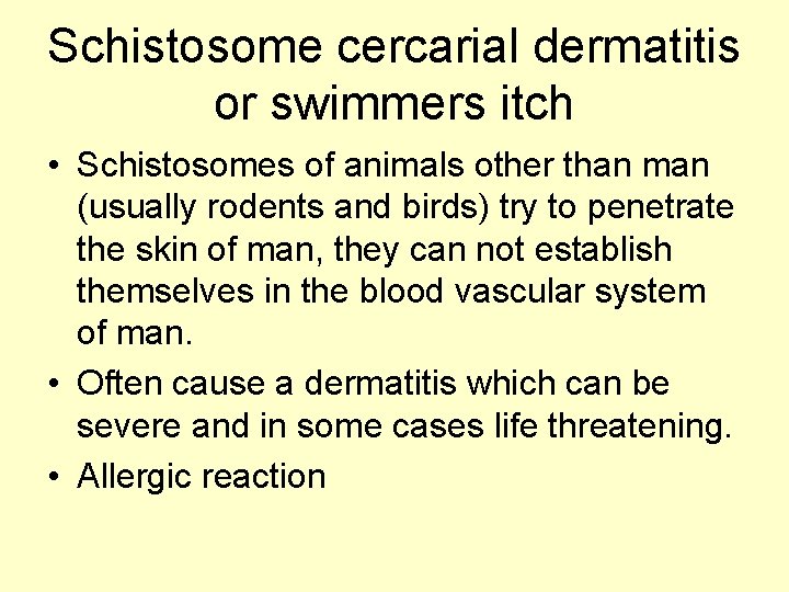 Schistosome cercarial dermatitis or swimmers itch • Schistosomes of animals other than man (usually