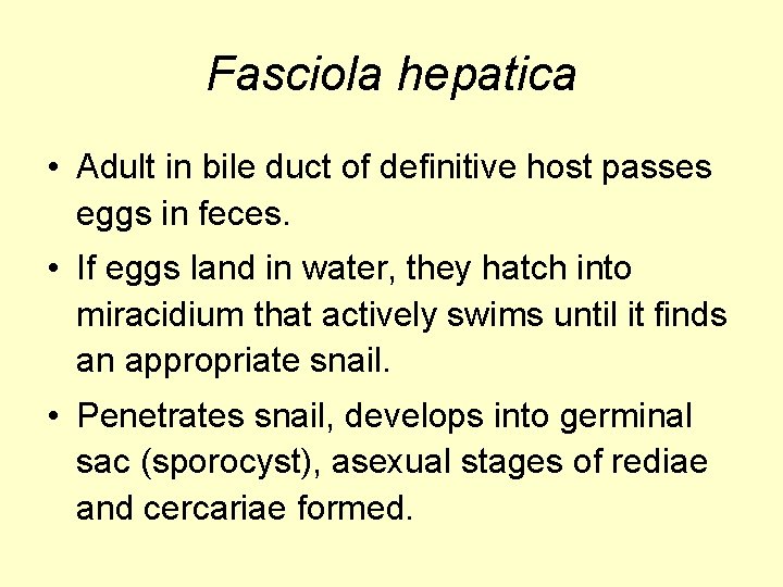 Fasciola hepatica • Adult in bile duct of definitive host passes eggs in feces.