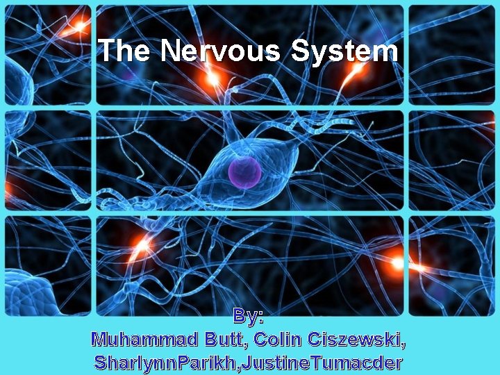 The Nervous System By: Muhammad Butt, Colin Ciszewski, Sharlynn. Parikh, Justine. Tumacder 