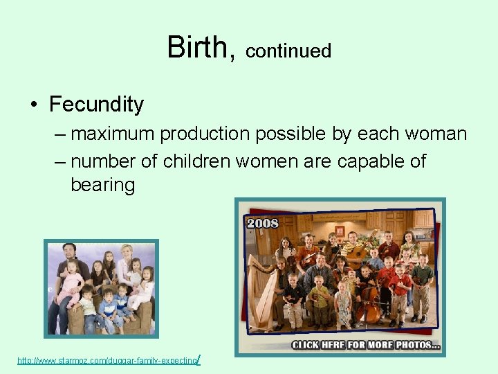 Birth, continued • Fecundity – maximum production possible by each woman – number of