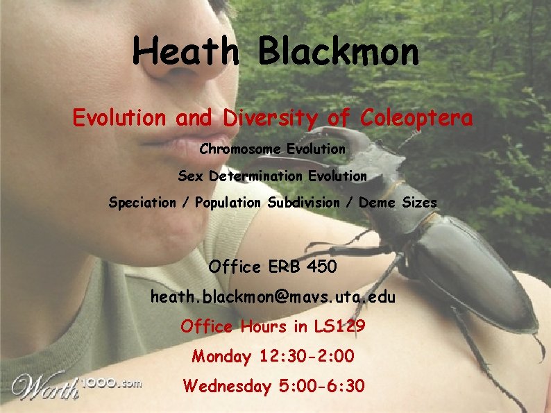 Heath Blackmon Evolution and Diversity of Coleoptera Chromosome Evolution Sex Determination Evolution Speciation /