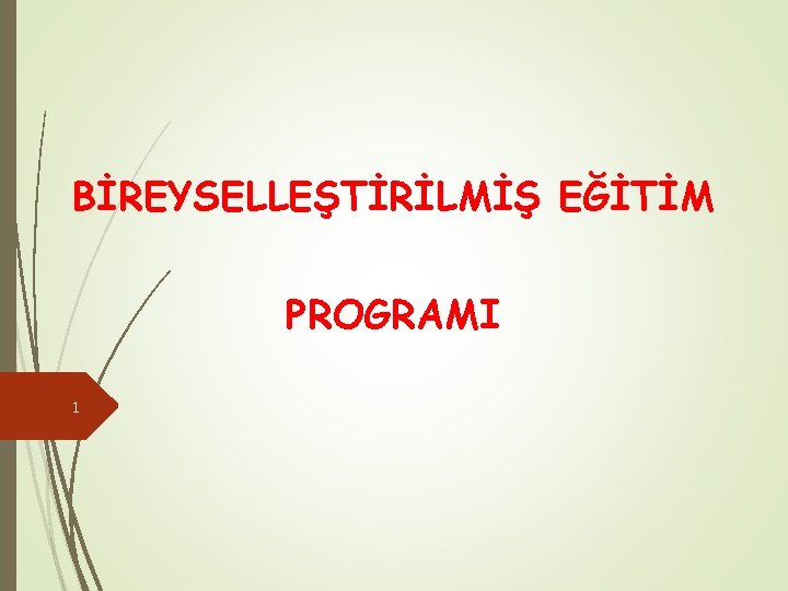 BİREYSELLEŞTİRİLMİŞ EĞİTİM PROGRAMI 1 