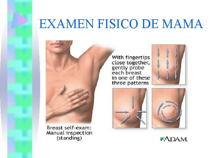 EXAMEN FISICO DE MAMA 