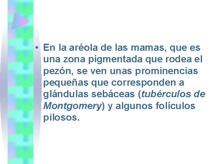  • En la aréola de las mamas, que es una zona pigmentada que