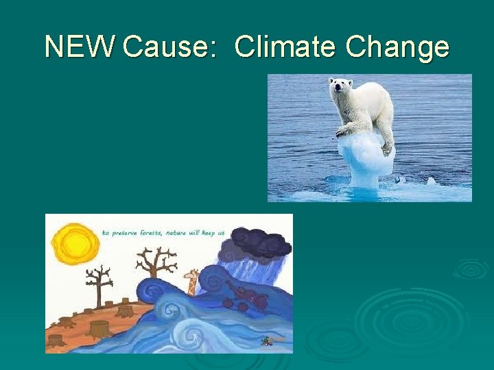 NEW Cause: Climate Change NEW Cause: Climate Change