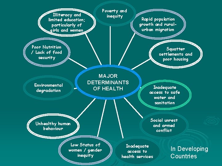 Poverty and inequity Illiteracy and limited education; particularly of girls and women Rapid population Poverty and inequity Illiteracy and limited education; particularly of girls and women Rapid population