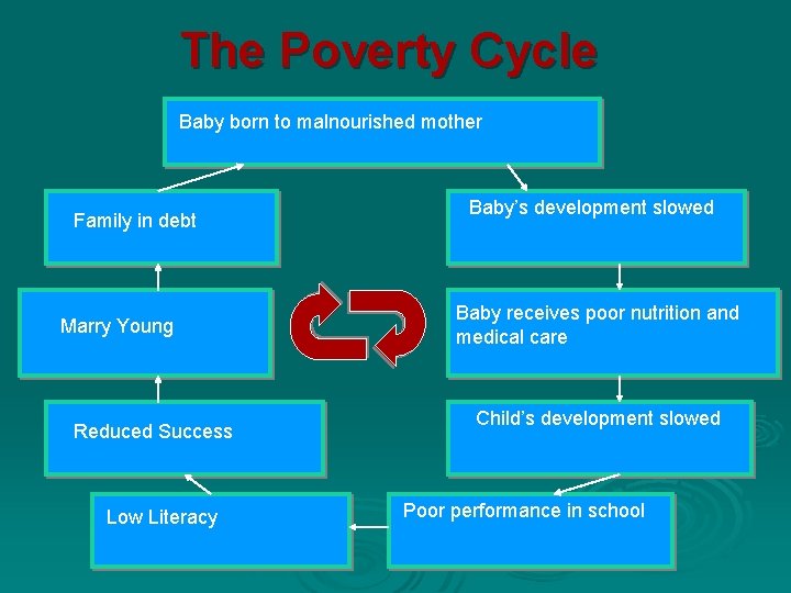 The Poverty Cycle Baby born to malnourished mother Family in debt Marry Young Reduced The Poverty Cycle Baby born to malnourished mother Family in debt Marry Young Reduced