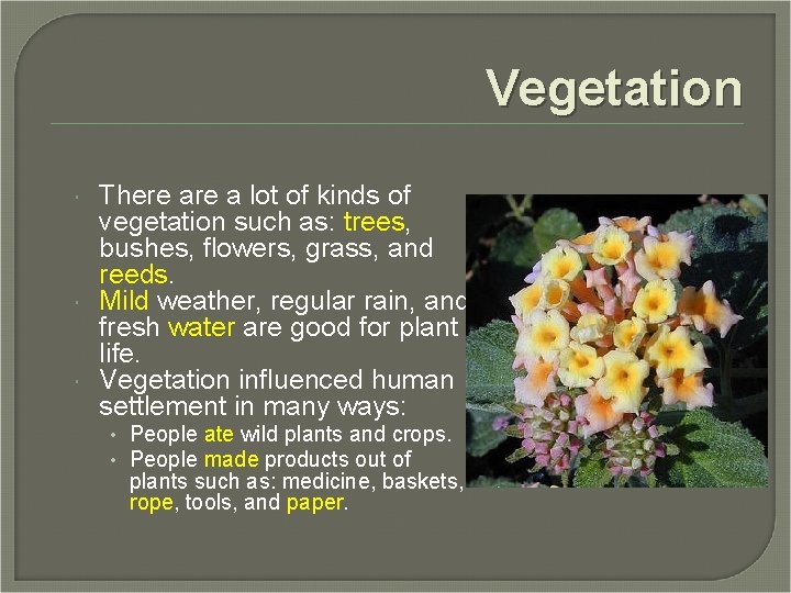 Vegetation There a lot of kinds of vegetation such as: trees, bushes, flowers, grass,