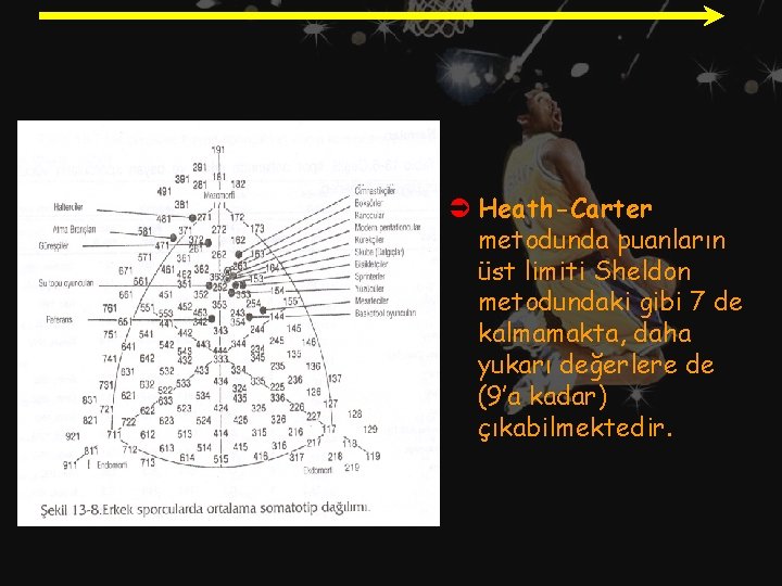 Ü Heath-Carter metodunda puanların üst limiti Sheldon metodundaki gibi 7 de kalmamakta, daha yukarı