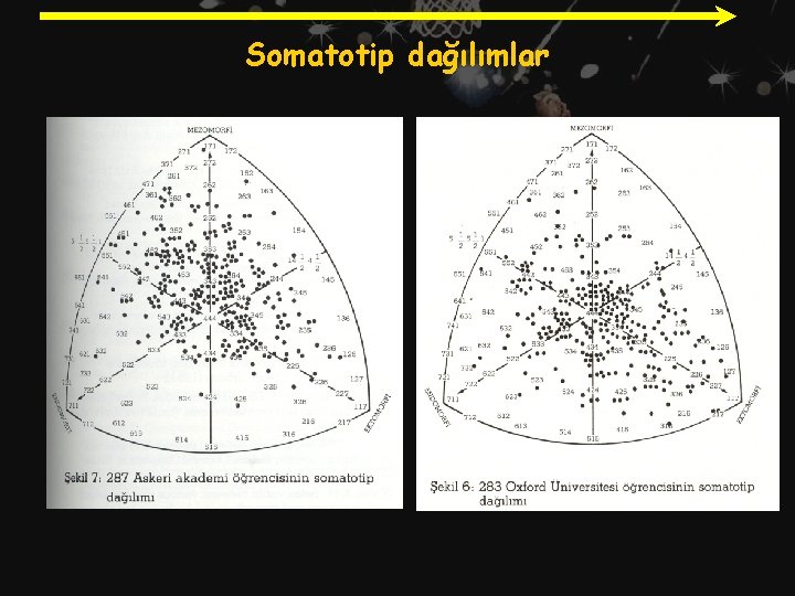 Somatotip dağılımlar 