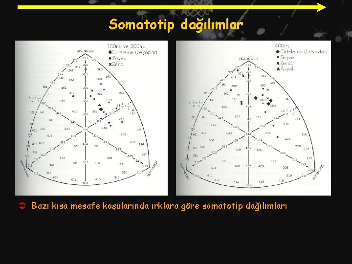 Somatotip dağılımlar Ü Bazı kısa mesafe koşularında ırklara göre somatotip dağılımları 