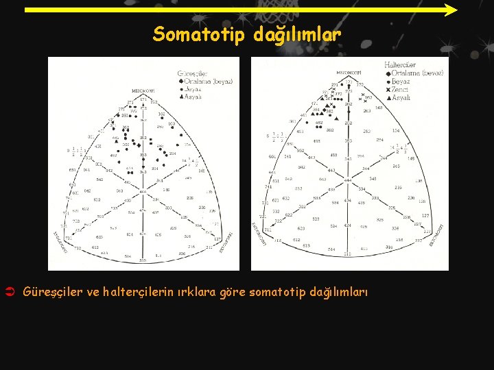 Somatotip dağılımlar Ü Güreşçiler ve halterçilerin ırklara göre somatotip dağılımları 