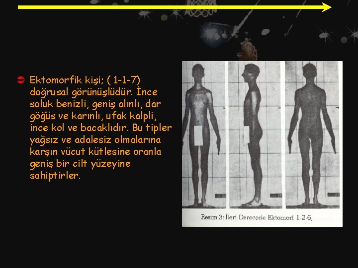 Ü Ektomorfik kişi; ( 1 -1 -7) doğrusal görünüşlüdür. İnce soluk benizli, geniş alınlı,