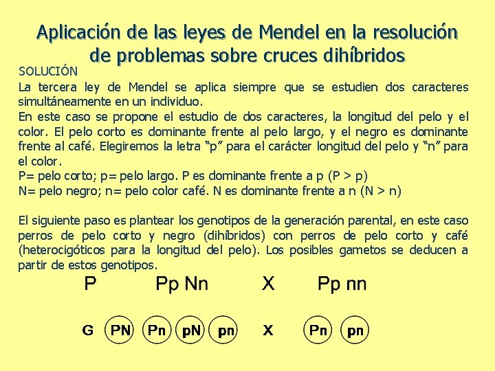 Aplicación de las leyes de Mendel en la resolución de problemas sobre cruces dihíbridos