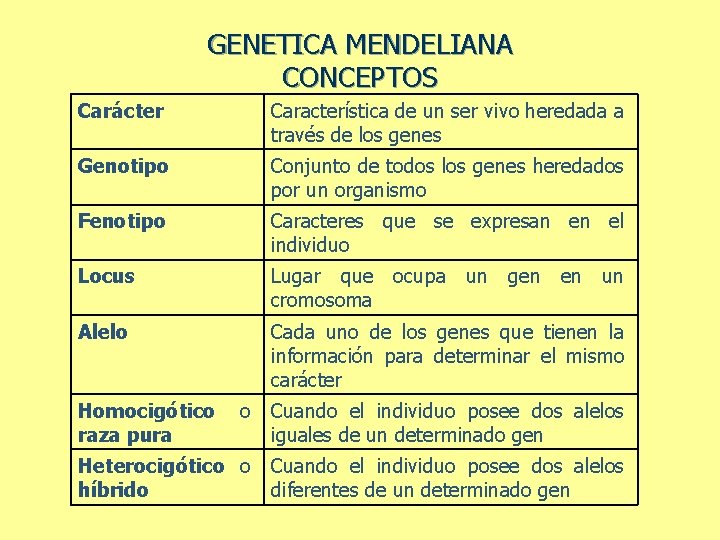 GENETICA MENDELIANA CONCEPTOS Carácter Característica de un ser vivo heredada a través de los